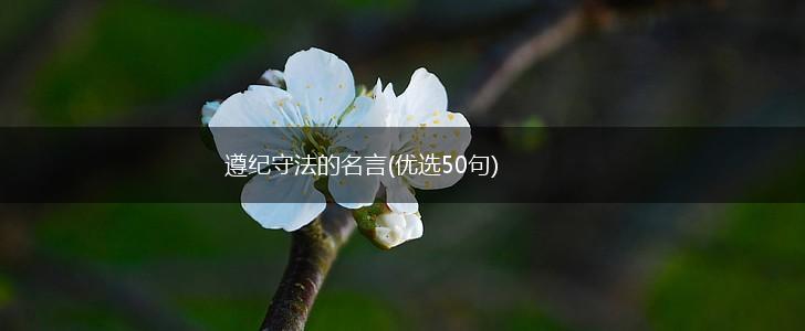 遵纪守法的名言(优选50句),第1张 遵纪守法的名言(优选50句),第1张