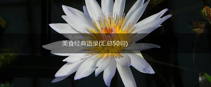 美食经典语录(汇总50句),第1张