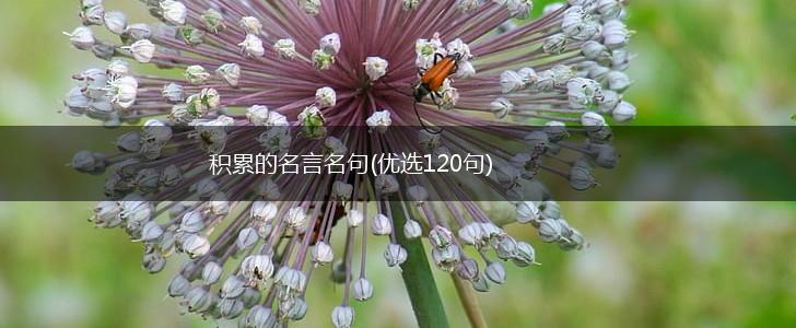 积累的名言名句(优选120句),第1张 积累的名言名句(优选120句),第1张