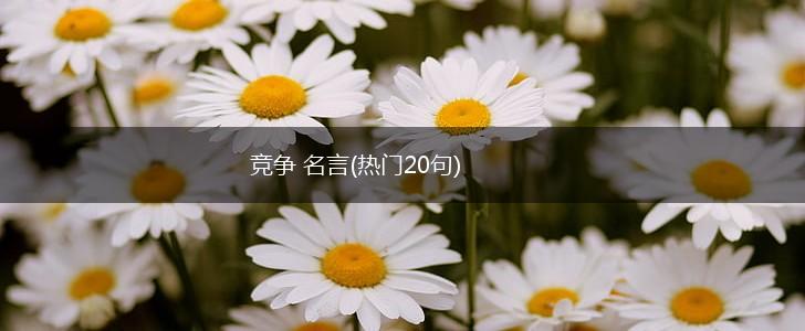 竞争 名言(热门20句),第1张