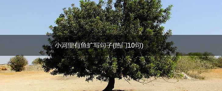 小河里有鱼扩写句子(热门10句),第1张