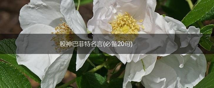 股神巴菲特名言(必备20句),第1张 股神巴菲特名言(必备20句),第1张