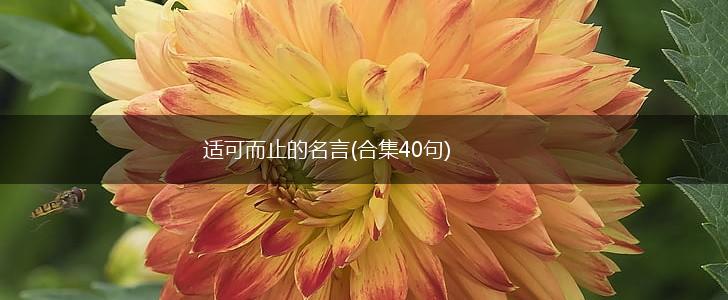 适可而止的名言(合集40句),第1张 适可而止的名言(合集40句),第1张
