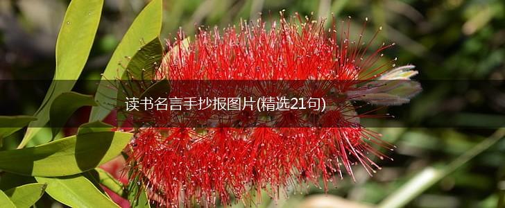 读书名言手抄报图片(精选21句),第1张 读书名言手抄报图片(精选21句),第1张