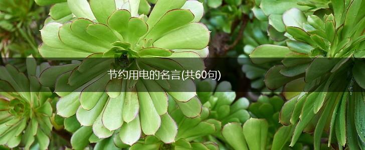 节约用电的名言(共60句),第1张