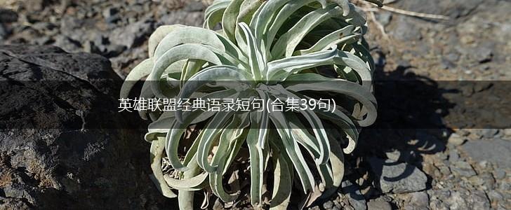 英雄联盟经典语录短句(合集39句),第1张