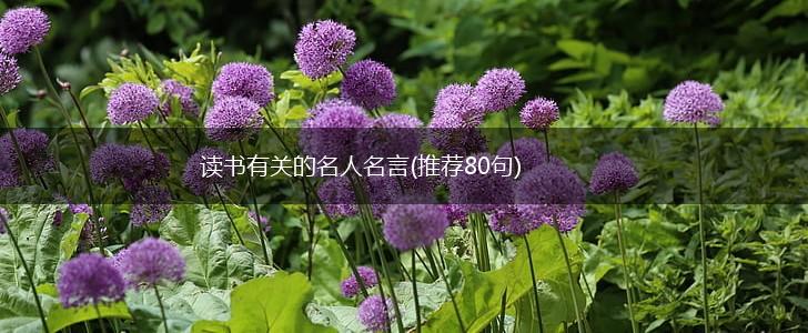 读书有关的名人名言(推荐80句),第1张