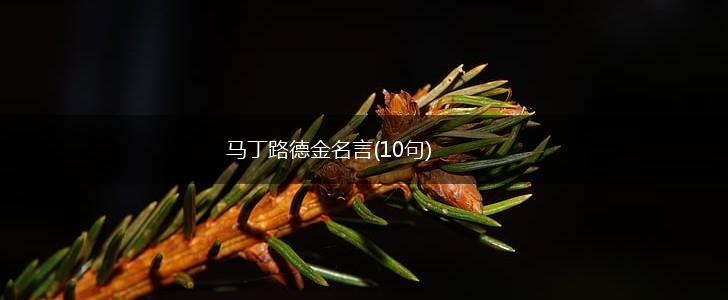 马丁路德金名言(10句),第1张