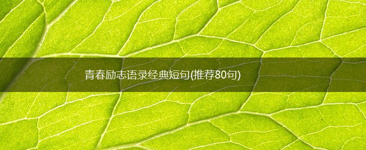 青春励志语录经典短句(推荐80句),第1张