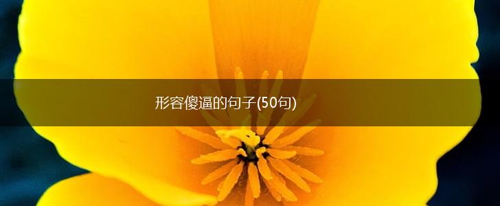 形容傻逼的句子(50句),第1张