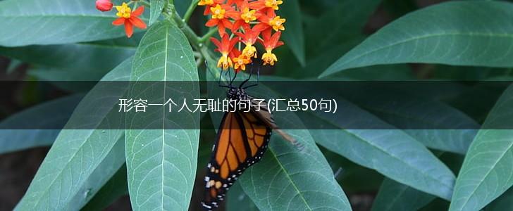 形容一个人无耻的句子(汇总50句),第1张