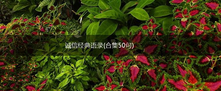 诚信经典语录(合集50句),第1张
