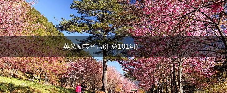 英文励志名言(汇总101句),第1张