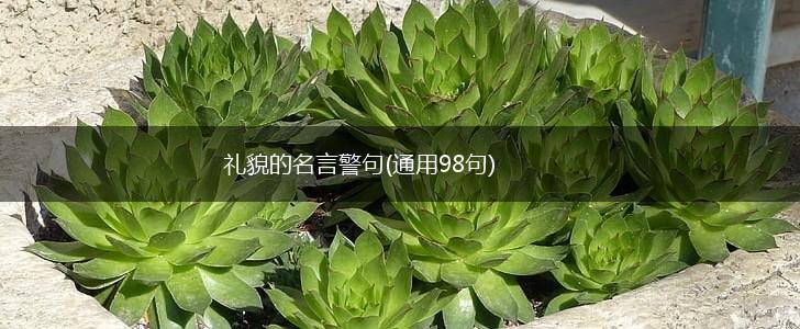 礼貌的名言警句(通用98句),第1张 礼貌的名言警句(通用98句),第1张