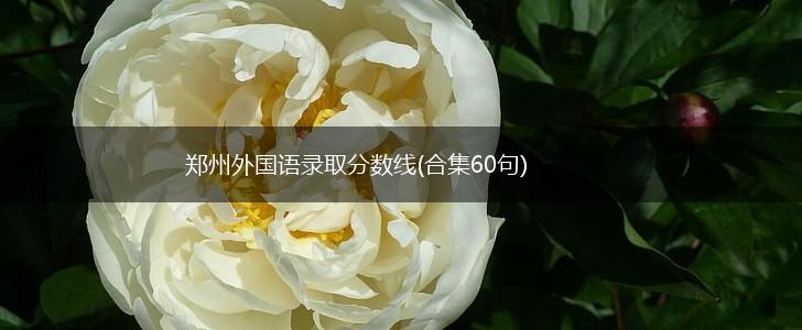 郑州外国语录取分数线(合集60句),第1张