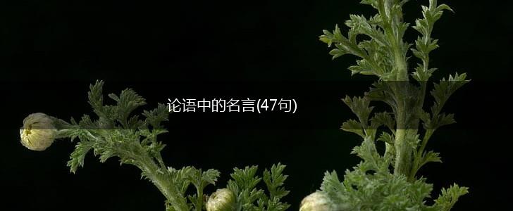 论语中的名言(47句),第1张 论语中的名言(47句),第1张