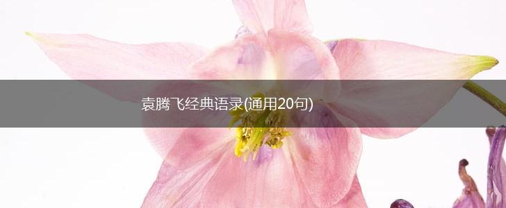 袁腾飞经典语录(通用20句),第1张