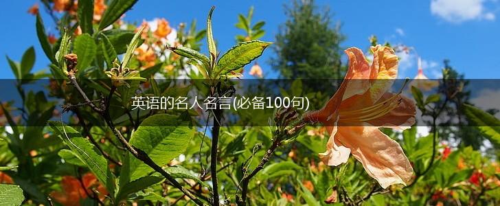 英语的名人名言(必备100句),第1张