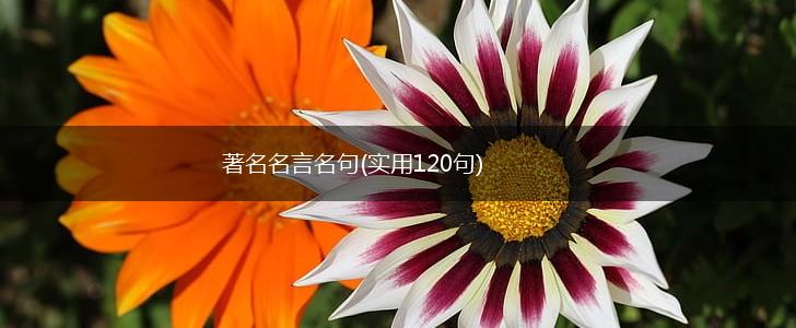 著名名言名句(实用120句),第1张