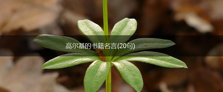高尔基的书籍名言(20句),第1张