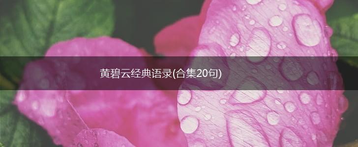 黄碧云经典语录(合集20句),第1张