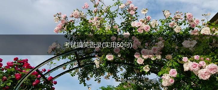 考试搞笑语录(实用60句),第1张