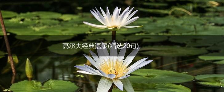高尔夫经典语录(精选20句),第1张