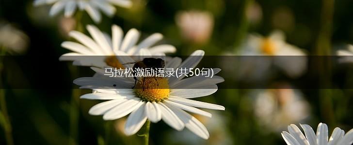 马拉松激励语录(共50句),第1张