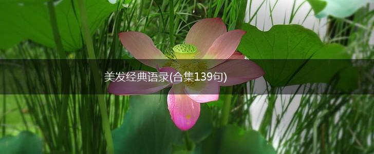 美发经典语录(合集139句),第1张