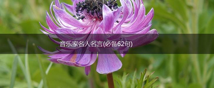 音乐家名人名言(必备62句),第1张