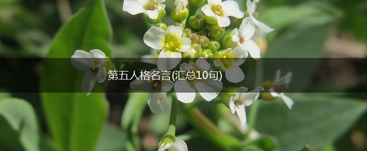 第五人格名言(汇总10句),第1张 第五人格名言(汇总10句),第1张