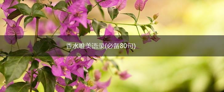 香水唯美语录(必备80句),第1张