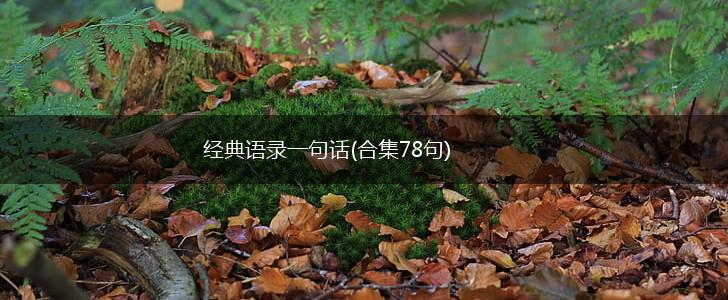 经典语录一句话(合集78句),第1张