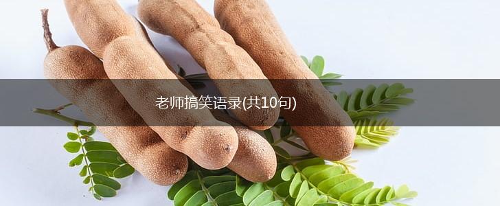老师搞笑语录(共10句),第1张