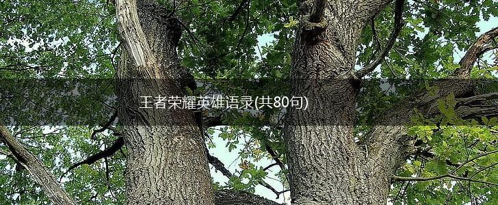 王者荣耀英雄语录(共80句),第1张