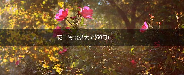 花千骨语录大全(60句),第1张