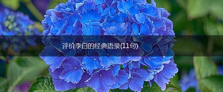 评价李白的经典语录(11句),第1张