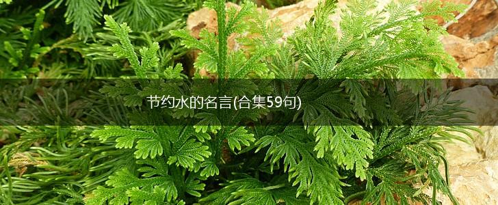 节约水的名言(合集59句),第1张