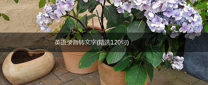 英语录音转文字(精选120句),第1张