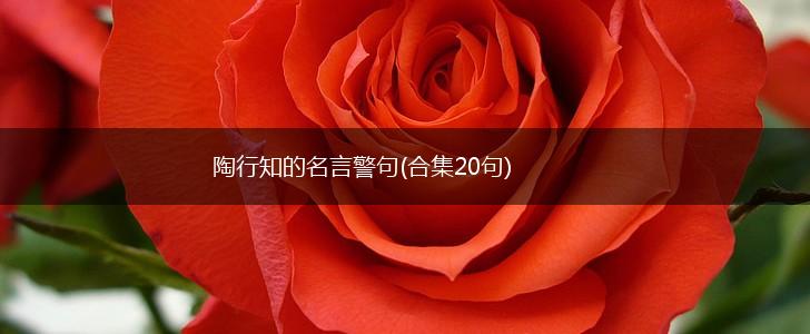 陶行知的名言警句(合集20句),第1张