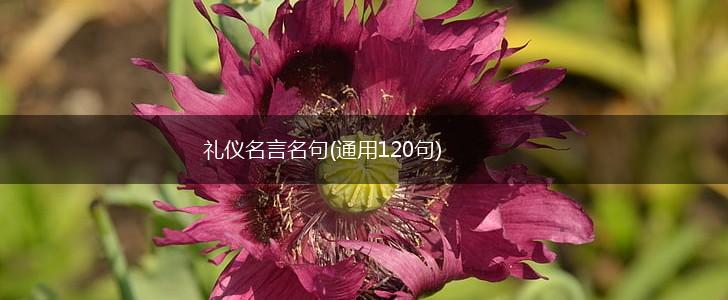 礼仪名言名句(通用120句),第1张