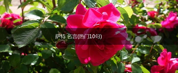 萨特 名言(热门10句),第1张 萨特 名言(热门10句),第1张