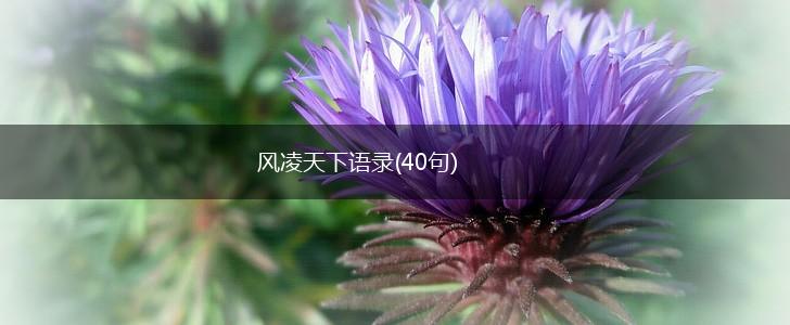 风凌天下语录(40句),第1张