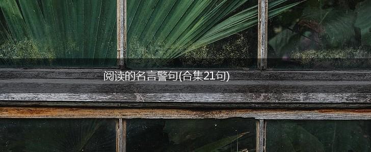 阅读的名言警句(合集21句),第1张