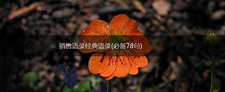 销售语录经典语录(必备78句),第1张