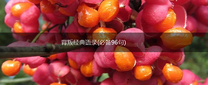 背叛经典语录(必备96句),第1张