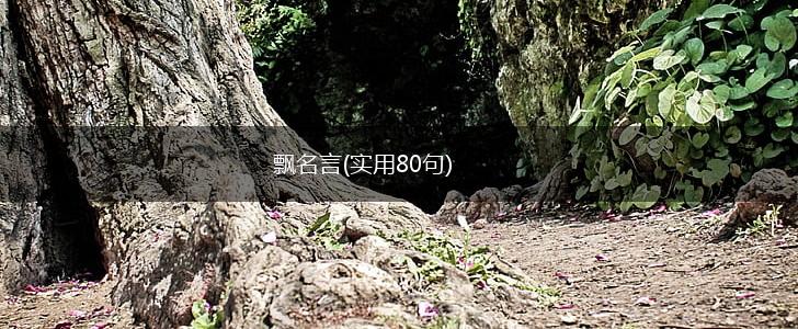 飘名言(实用80句),第1张
