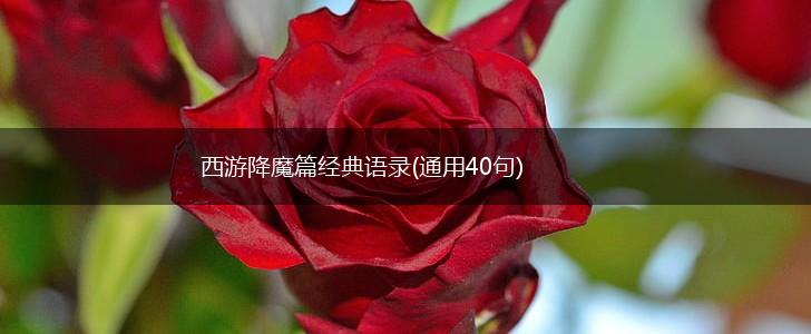 西游降魔篇经典语录(通用40句),第1张