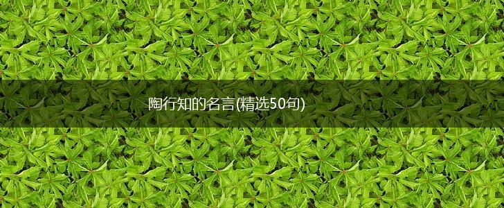 陶行知的名言(精选50句),第1张
