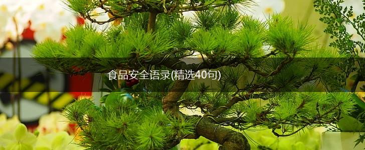 食品安全语录(精选40句),第1张